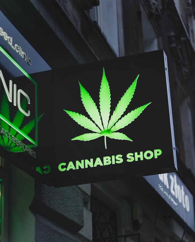 The inside of a bright, modern local dispensary in Maryland displays a wide range of cannabis products, including flowers and edibles, on wooden shelves, highlighting the variety and quality for customers.
